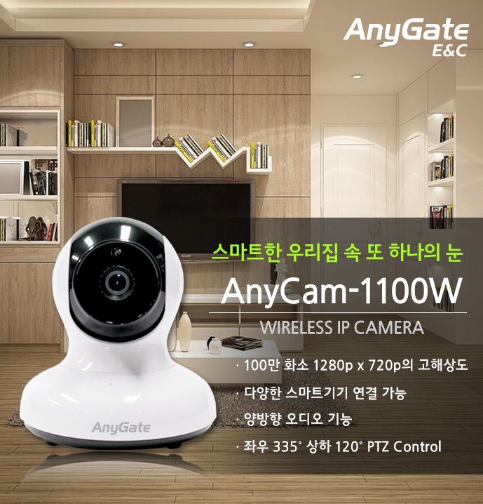 ANYGATE (ANYCAM-1100w) IP카메라, 100만화소 / 원격조정