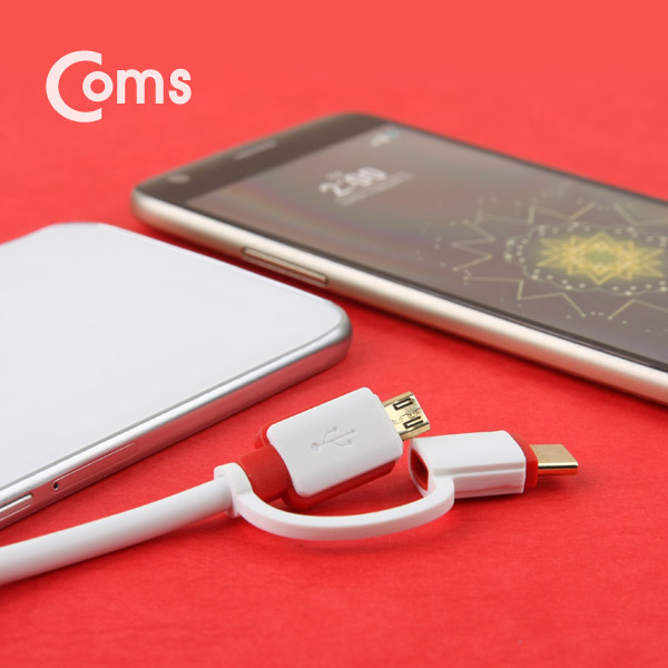 Coms USB 3.1 케이블(Type C) 2 in 1/ 꼬리물기