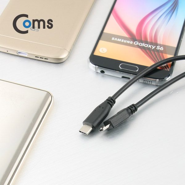 Coms USB 3.1 케이블 (TYPE C) 2 in 1 / Y형 30cm, USB A(M)/Type C(M)/Micro 5P(M)