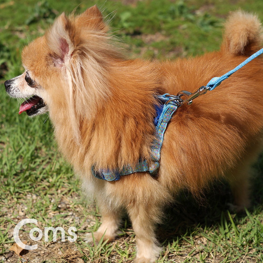 Coms 강아지/애견 가슴줄 / 하네스 / 목줄 / 리드줄 / Blue / 1.2M / 둘레 35~50cm