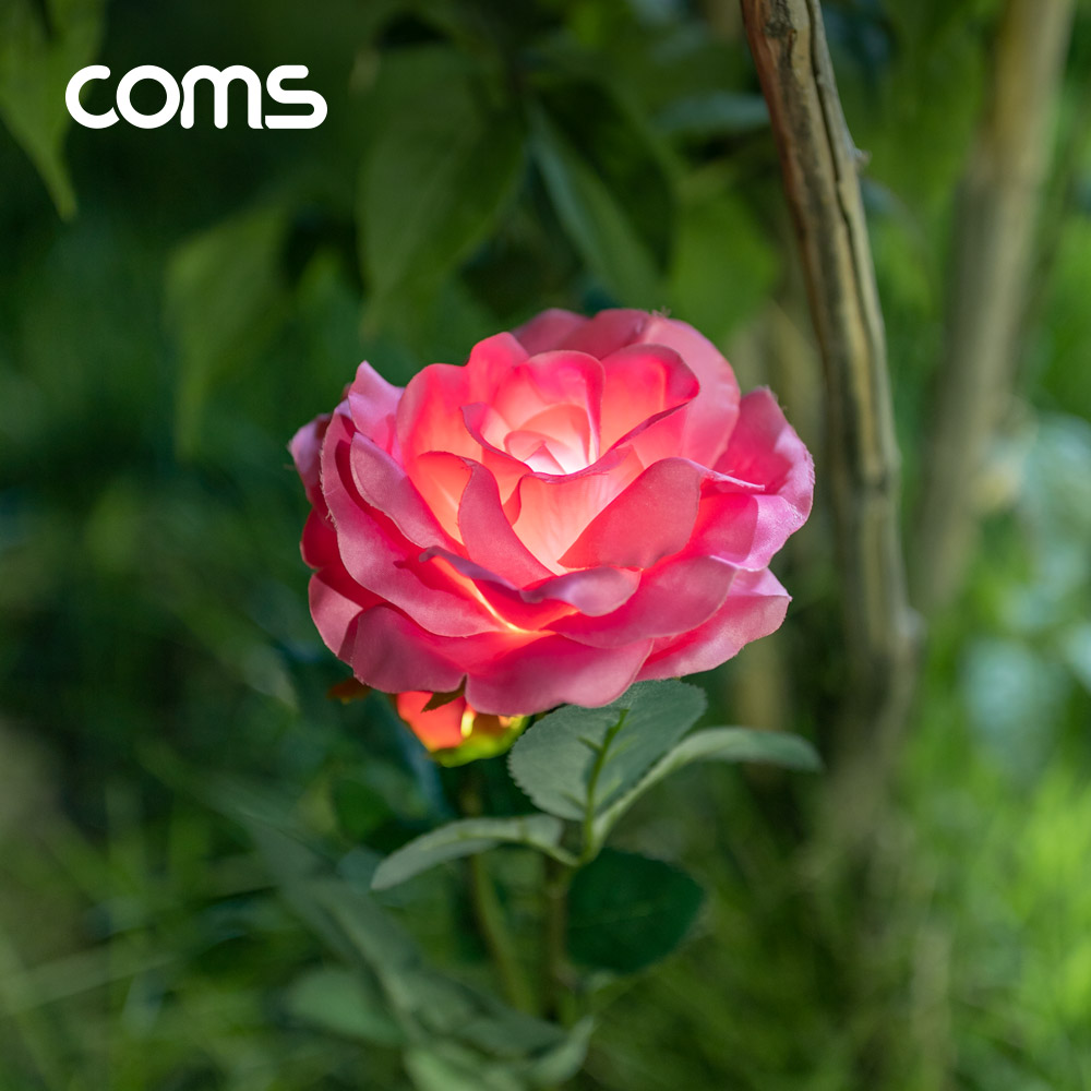 Coms 태양광 LED 정원등 / Pink 장미 / 600mAh