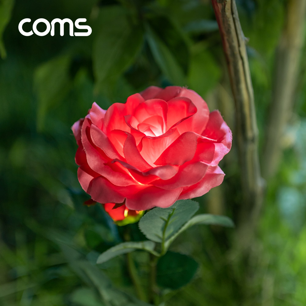 Coms 태양광 LED 정원등 / Red 장미 / 600mAh