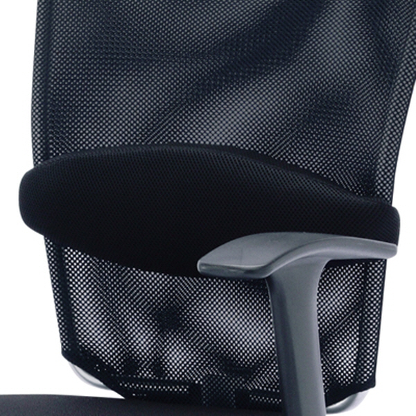 SANWA SNC-LUMBAR 허리보호 등받이 쿠션