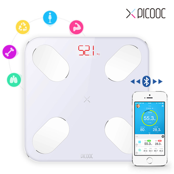 인바디 스마트 체중계 신체 데이터 측정