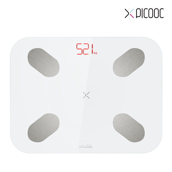 인바디 프리미엄 스마트 체중계 신체 데이터 측정