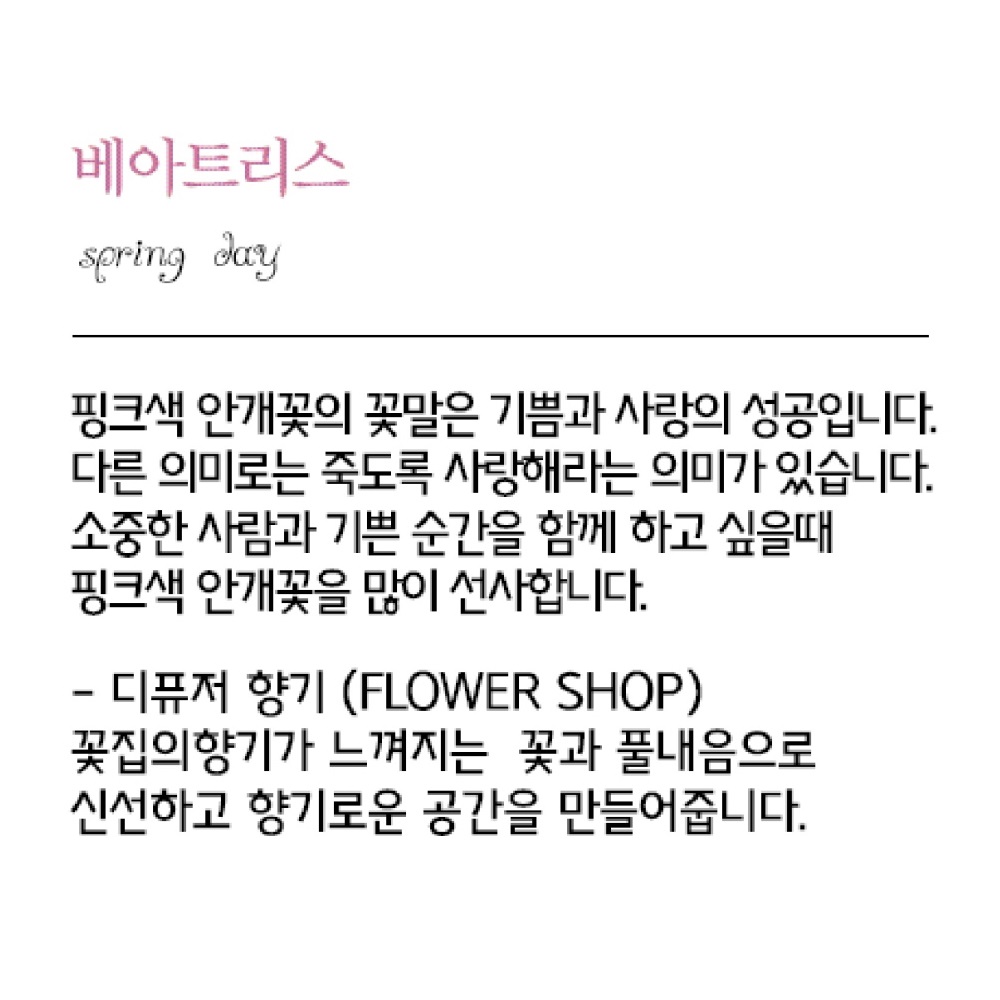 나모라 꽃집향 디퓨저 호텔디퓨저 프리저브드 분홍안개꽃 베아트리스 100ml