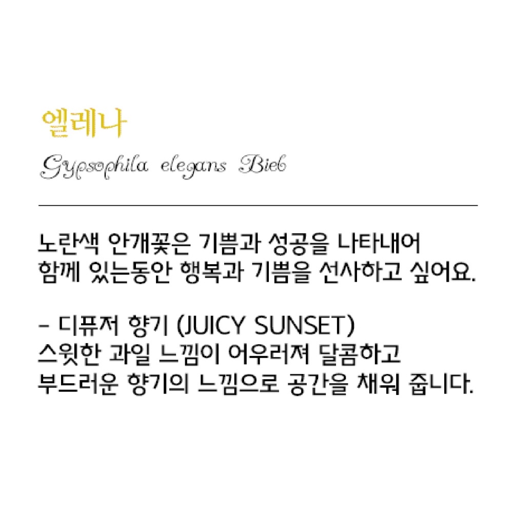 나모라 과일향 디퓨저 호텔디퓨저 프리저브드 노란색 안개꽃 엘레나 100ml