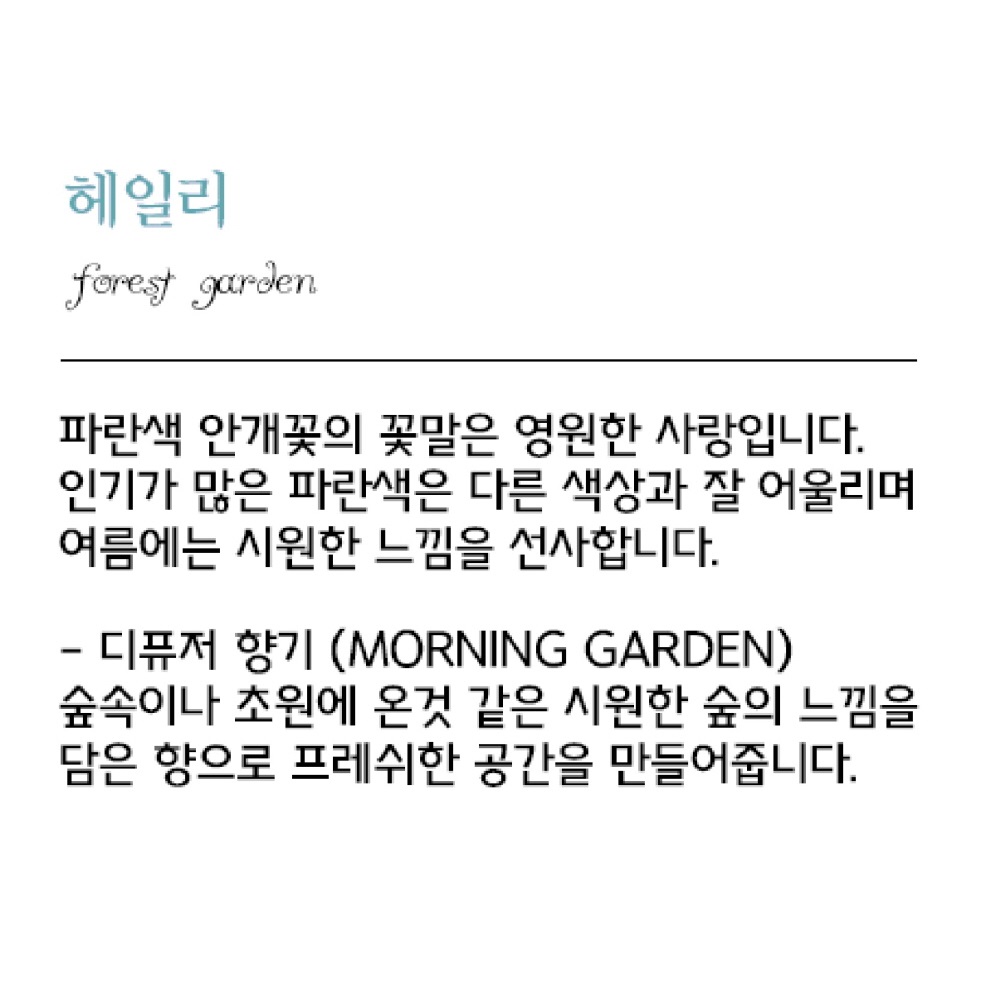 나모라 숲속향 디퓨저 호텔디퓨저 프리저브드 파란색 안개꽃 헤일리 100ml