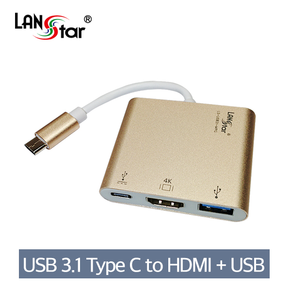 USB 3.1 To HDMI (4k지원) 멀티포트, 3.1(충전)+3.0(OTG), Gold