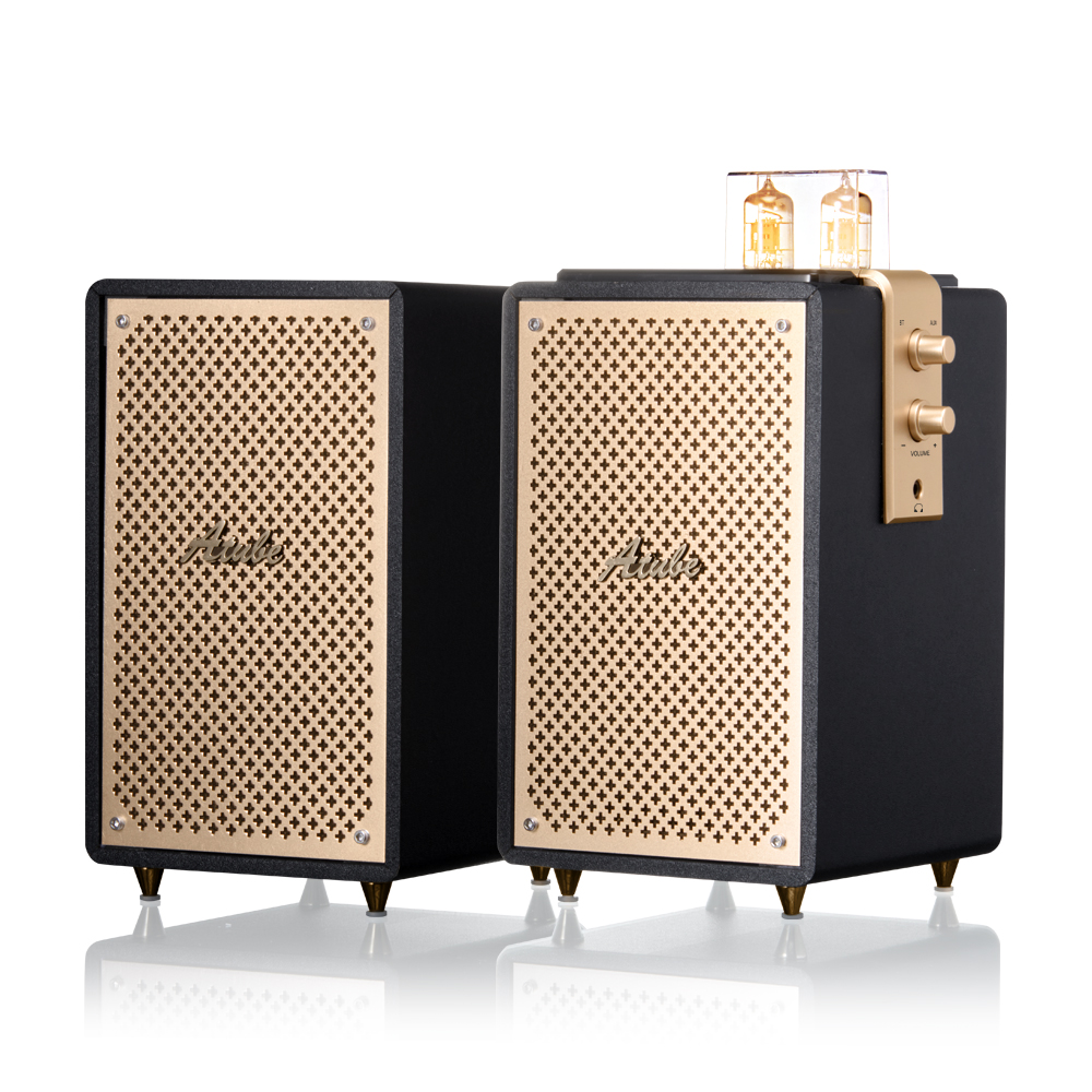 진공관 2CH 북쉘프스피커 AC전원 2진공관 30W A701RV