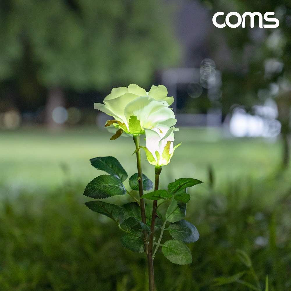 Coms 태양광 LED 정원등 White 장미 6개입