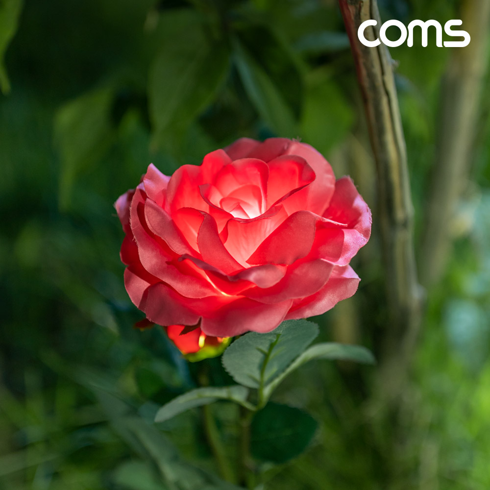 Coms 태양광 LED 정원등 Red 장미 6개입