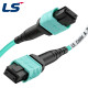 LS전선 OM4 12C MPO 광점퍼코드 5m LS-MTC-FF-M4-12ZB-005