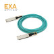 EXA GBIC Arista AOC-Q-Q-100G-10M OM3 호환 케이블 EXA-Q28AOC310-ARI