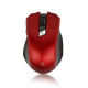 마우스 LG전자 (CM-2200)무선 (레드)