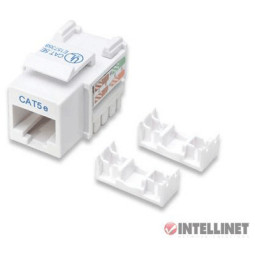 Intellinet 키스톤잭/Cat5e/ White
