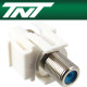 TNT NM-TNT40 RF 안테나 F/F 스냅인 멀티미디어 모듈