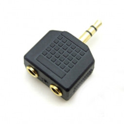 스테레오 Y 젠더