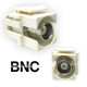 키스톤잭 , Insert 모듈, BNC connecter